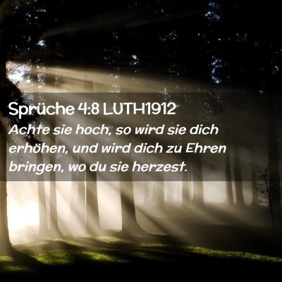 Picture 02 - Sprüche 4:8 LUTH1912 - Achte sie hoch, so wird sie dich erhöhen, und - Bible Verse Picture