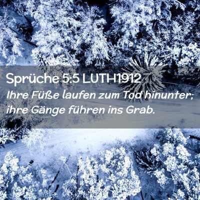 Picture 02 - Sprüche 5:5 LUTH1912 - Ihre Füße laufen zum Tod hinunter; ihre Gänge - Bible Verse Picture
