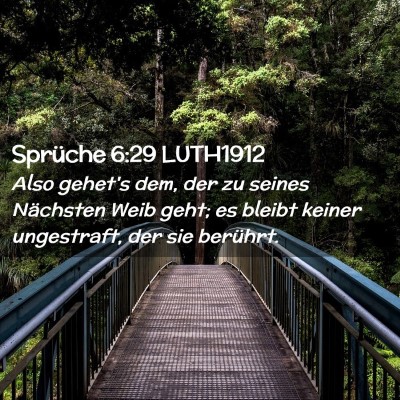 Picture 02 - Sprüche 6:29 LUTH1912 - Also gehet's dem, der zu seines Nächsten Weib - Bible Verse Picture