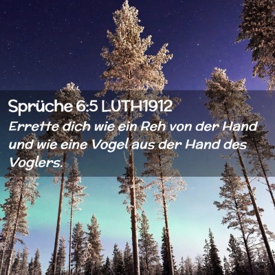 Picture 02 - Sprüche 6:5 LUTH1912 - Errette dich wie ein Reh von der Hand und wie - Bible Verse Picture