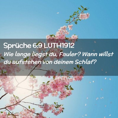 Picture 02 - Sprüche 6:9 LUTH1912 - Wie lange liegst du, Fauler? Wann willst du - Bible Verse Picture