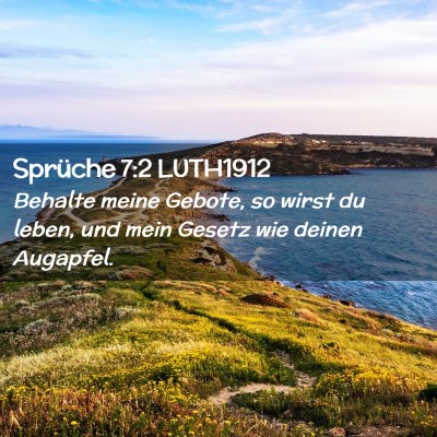 Picture 02 - Sprüche 7:2 LUTH1912 - Behalte meine Gebote, so wirst du leben, und mein - Bible Verse Picture