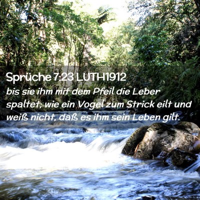 Picture 02 - Sprüche 7:23 LUTH1912 - bis sie ihm mit dem Pfeil die Leber spaltet; wie - Bible Verse Picture