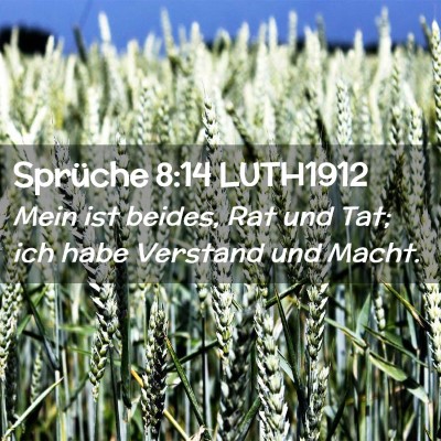 Picture 02 - Sprüche 8:14 LUTH1912 - Mein ist beides, Rat und Tat; ich habe Verstand - Bible Verse Picture