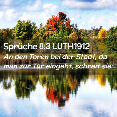 Picture 02 - Sprüche 8:3 LUTH1912 - An den Toren bei der Stadt, da man zur Tür - Bible Verse Picture