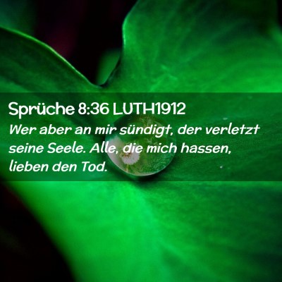 Picture 02 - Sprüche 8:36 LUTH1912 - Wer aber an mir sündigt, der verletzt seine - Bible Verse Picture