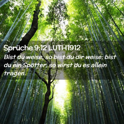 Picture 02 - Sprüche 9:12 LUTH1912 - Bist du weise, so bist du dir weise; bist du ein - Bible Verse Picture