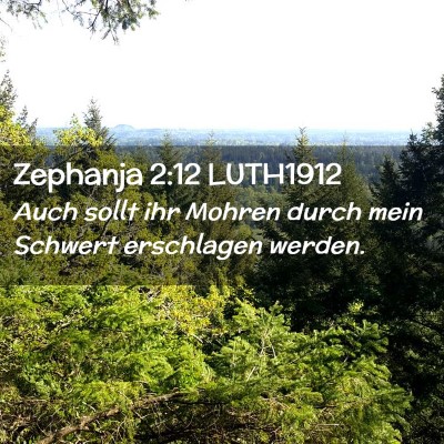 Picture 02 - Zephanja 2:12 LUTH1912 - Auch sollt ihr Mohren durch mein Schwert - Bible Verse Picture
