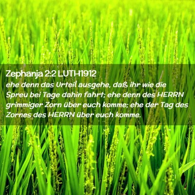 Picture 02 - Zephanja 2:2 LUTH1912 - ehe denn das Urteil ausgehe, daß ihr wie die - Bible Verse Picture