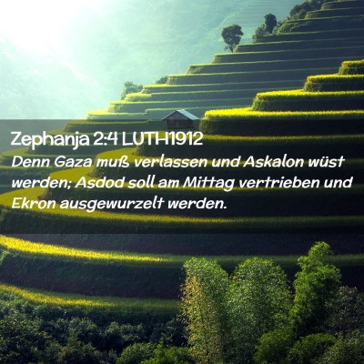 Picture 02 - Zephanja 2:4 LUTH1912 - Denn Gaza muß verlassen und Askalon wüst - Bible Verse Picture
