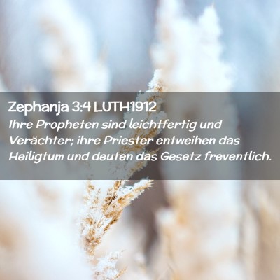Picture 02 - Zephanja 3:4 LUTH1912 - Ihre Propheten sind leichtfertig und Verächter; - Bible Verse Picture
