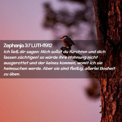 Picture 02 - Zephanja 3:7 LUTH1912 - Ich ließ dir sagen: Mich sollst du fürchten und - Bible Verse Picture