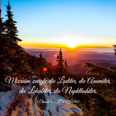 Picture 03 - 1 Chronik 1:11 LUTH1912 - Mizraim zeugte die Luditer, die Anamiter, die - Bible Verse Picture