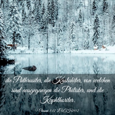 Picture 03 - 1 Chronik 1:12 LUTH1912 - die Pathrusiter, die Kasluhiter, von welchen sind - Bible Verse Picture