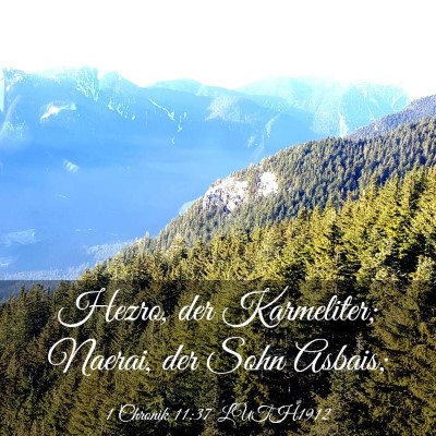 Picture 03 - 1 Chronik 11:37 LUTH1912 - Hezro, der Karmeliter; Naerai, der Sohn - Bible Verse Picture