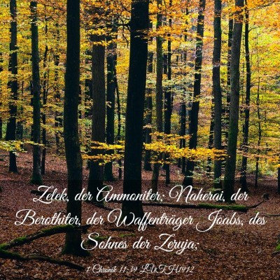 Picture 03 - 1 Chronik 11:39 LUTH1912 - Zelek, der Ammoniter; Naherai, der Berothiter, - Bible Verse Picture