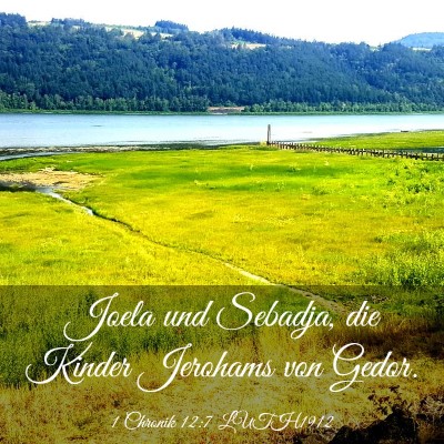 Picture 03 - 1 Chronik 12:7 LUTH1912 - Joela und Sebadja, die Kinder Jerohams von - Bible Verse Picture