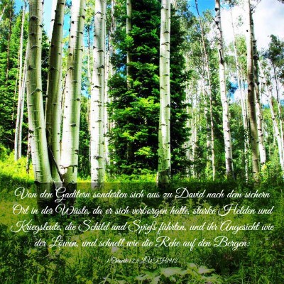 Picture 03 - 1 Chronik 12:8 LUTH1912 - Von den Gaditern sonderten sich aus zu David nach - Bible Verse Picture