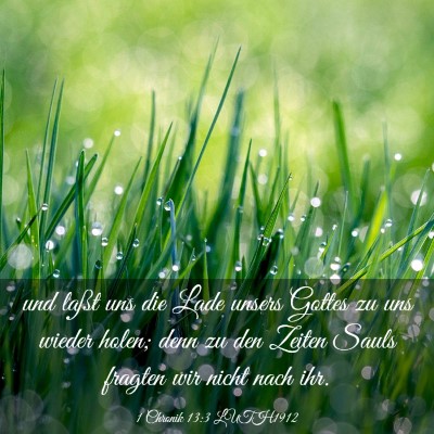 Picture 03 - 1 Chronik 13:3 LUTH1912 - und laßt uns die Lade unsers Gottes zu uns - Bible Verse Picture