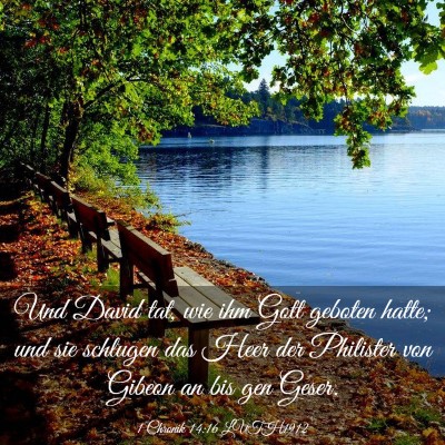 Picture 03 - 1 Chronik 14:16 LUTH1912 - Und David tat, wie ihm Gott geboten hatte; und - Bible Verse Picture