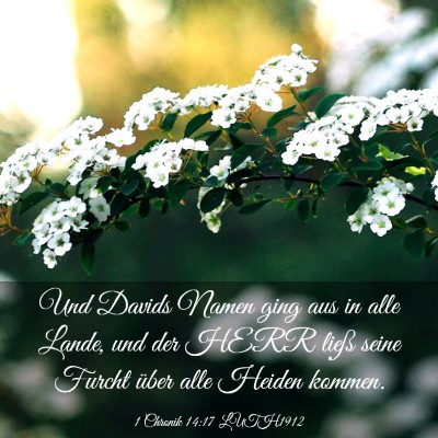 Picture 03 - 1 Chronik 14:17 LUTH1912 - Und Davids Namen ging aus in alle Lande, und der - Bible Verse Picture