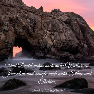 Picture 03 - 1 Chronik 14:3 LUTH1912 - Und David nahm noch mehr Weiber zu Jerusalem und - Bible Verse Picture
