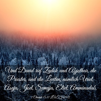 Picture 03 - 1 Chronik 15:11 LUTH1912 - Und David rief Zadok und Abjathar, die Priester, - Bible Verse Picture