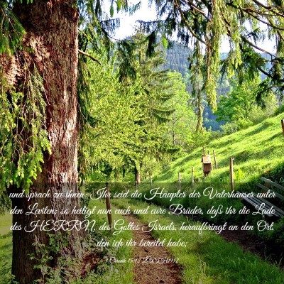 Picture 03 - 1 Chronik 15:12 LUTH1912 - und sprach zu ihnen: Ihr seid die Häupter der - Bible Verse Picture