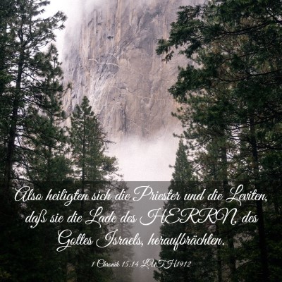 Picture 03 - 1 Chronik 15:14 LUTH1912 - Also heiligten sich die Priester und die Leviten, - Bible Verse Picture