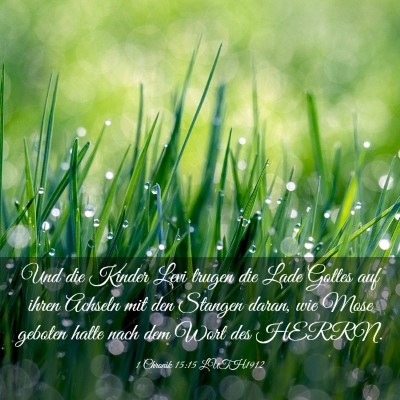 Picture 03 - 1 Chronik 15:15 LUTH1912 - Und die Kinder Levi trugen die Lade Gottes auf - Bible Verse Picture
