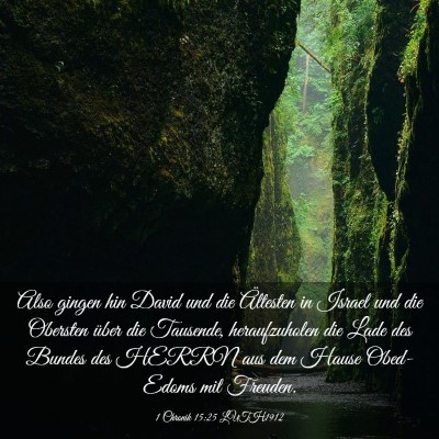 Picture 03 - 1 Chronik 15:25 LUTH1912 - Also gingen hin David und die Ältesten in Israel - Bible Verse Picture