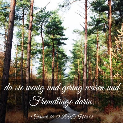 Picture 03 - 1 Chronik 16:19 LUTH1912 - da sie wenig und gering waren und Fremdlinge - Bible Verse Picture