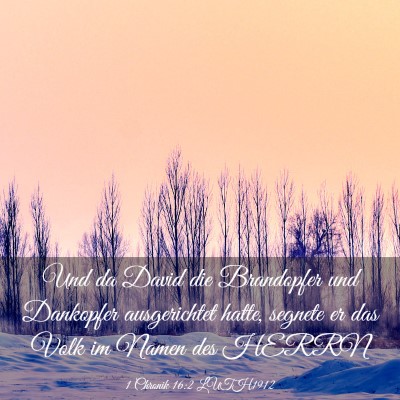 Picture 03 - 1 Chronik 16:2 LUTH1912 - Und da David die Brandopfer und Dankopfer - Bible Verse Picture