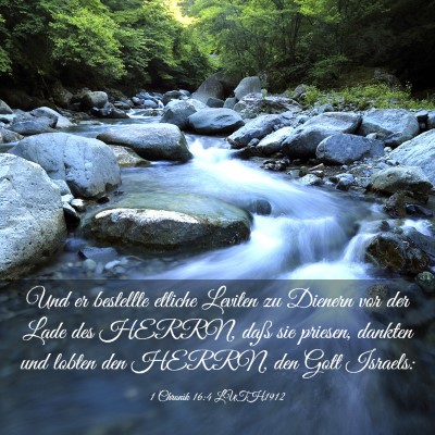 Picture 03 - 1 Chronik 16:4 LUTH1912 - Und er bestellte etliche Leviten zu Dienern vor - Bible Verse Picture