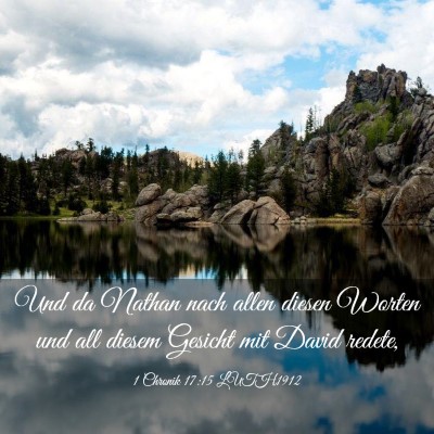 Picture 03 - 1 Chronik 17:15 LUTH1912 - Und da Nathan nach allen diesen Worten und all - Bible Verse Picture