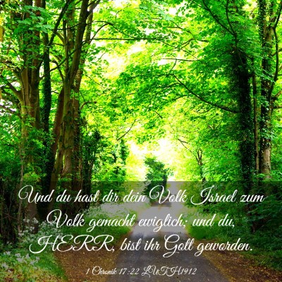 Picture 03 - 1 Chronik 17:22 LUTH1912 - Und du hast dir dein Volk Israel zum Volk gemacht - Bible Verse Picture