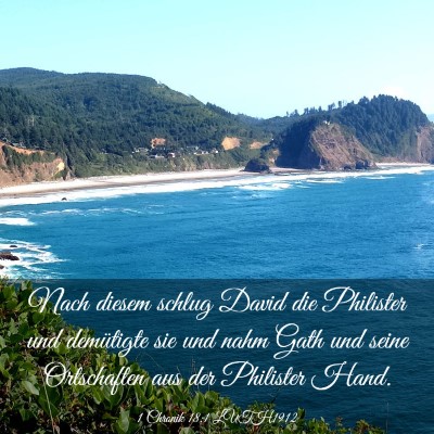 Picture 03 - 1 Chronik 18:1 LUTH1912 - Nach diesem schlug David die Philister und - Bible Verse Picture