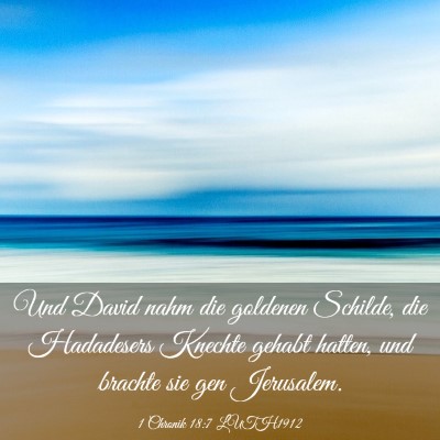 Picture 03 - 1 Chronik 18:7 LUTH1912 - Und David nahm die goldenen Schilde, die - Bible Verse Picture