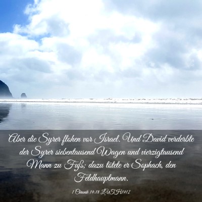 Picture 03 - 1 Chronik 19:18 LUTH1912 - Aber die Syrer flohen vor Israel. Und David - Bible Verse Picture