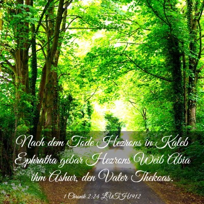 Picture 03 - 1 Chronik 2:24 LUTH1912 - Nach dem Tode Hezrons in Kaleb Ephratha gebar - Bible Verse Picture