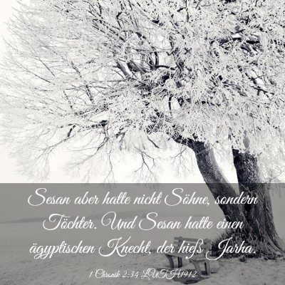 Picture 03 - 1 Chronik 2:34 LUTH1912 - Sesan aber hatte nicht Söhne, sondern Töchter. - Bible Verse Picture