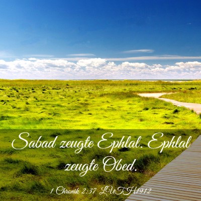 Picture 03 - 1 Chronik 2:37 LUTH1912 - Sabad zeugte Ephlal. Ephlal zeugte - Bible Verse Picture