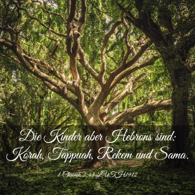 Picture 03 - 1 Chronik 2:43 LUTH1912 - Die Kinder aber Hebrons sind: Korah, Tappuah, - Bible Verse Picture