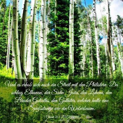 Picture 03 - 1 Chronik 20:5 LUTH1912 - Und es erhob sich noch ein Streit mit den - Bible Verse Picture