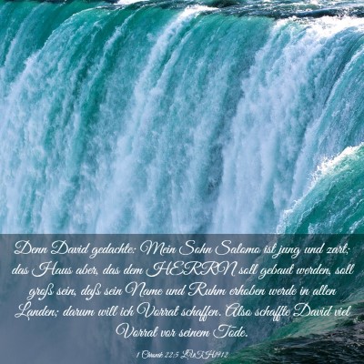 Picture 03 - 1 Chronik 22:5 LUTH1912 - Denn David gedachte: Mein Sohn Salomo ist jung - Bible Verse Picture