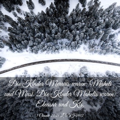 Picture 03 - 1 Chronik 23:21 LUTH1912 - Die Kinder Meraris waren: Maheli und Musi. Die - Bible Verse Picture