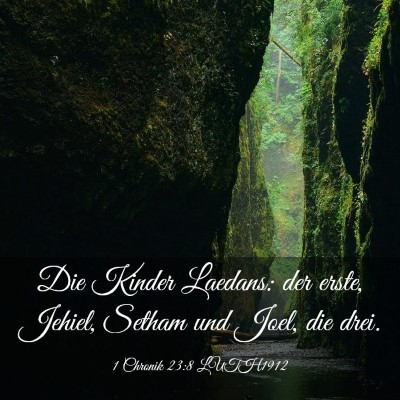 Picture 03 - 1 Chronik 23:8 LUTH1912 - Die Kinder Laedans: der erste, Jehiel, Setham und - Bible Verse Picture