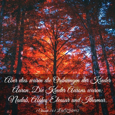 Picture 03 - 1 Chronik 24:1 LUTH1912 - Aber dies waren die Ordnungen der Kinder Aaron. - Bible Verse Picture