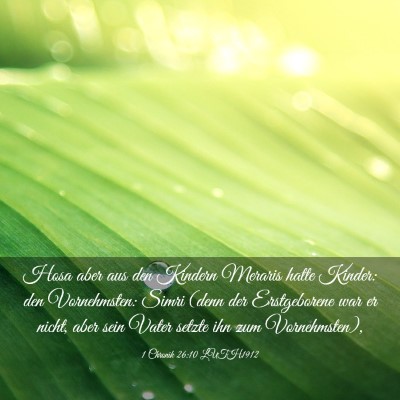 Picture 03 - 1 Chronik 26:10 LUTH1912 - Hosa aber aus den Kindern Meraris hatte Kinder: - Bible Verse Picture