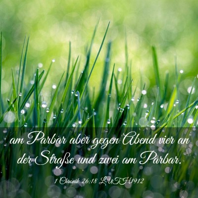 Picture 03 - 1 Chronik 26:18 LUTH1912 - am Parbar aber gegen Abend vier an der Straße - Bible Verse Picture